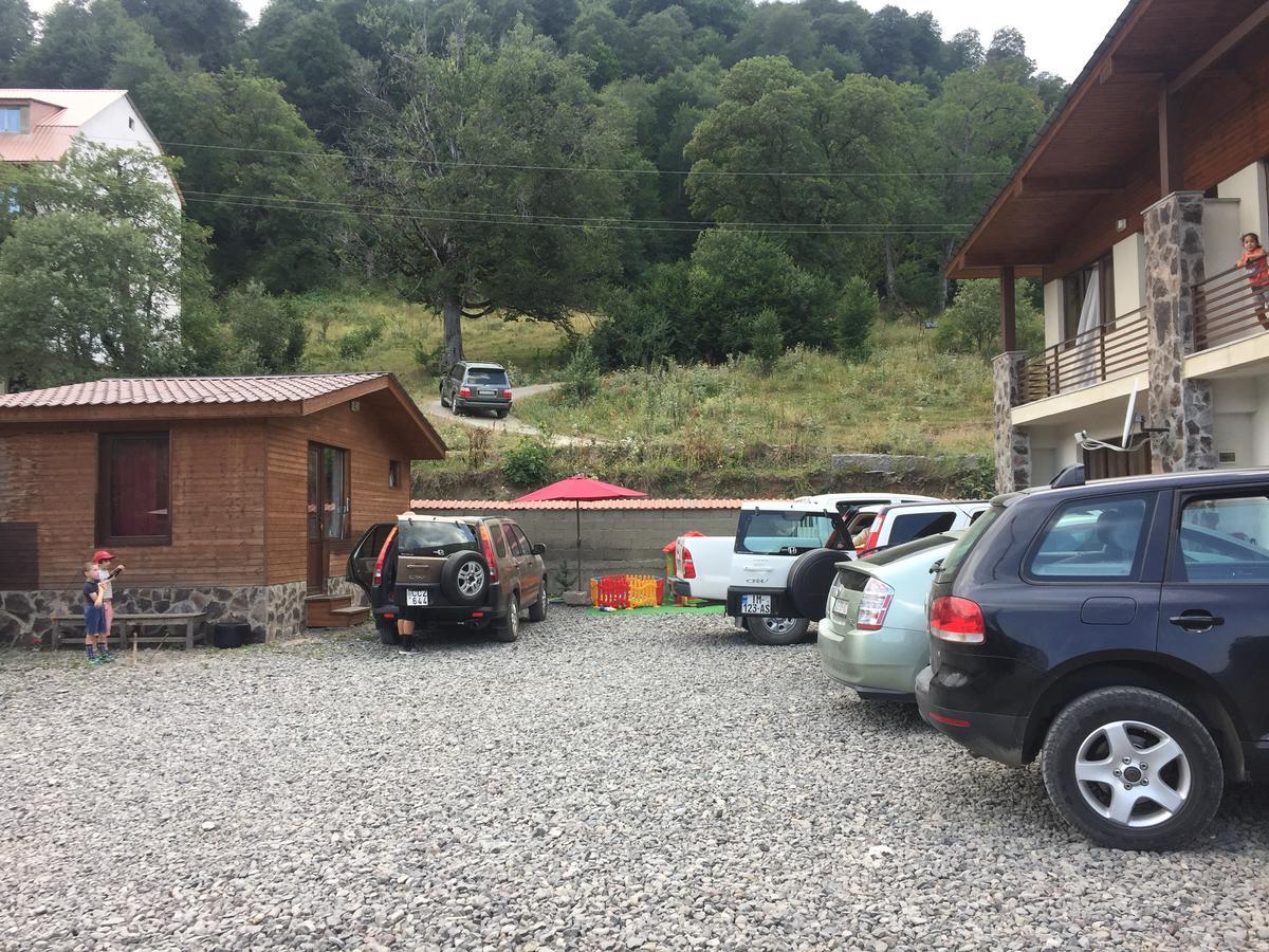Konstantine'S Chalet Бакуриани Экстерьер фото