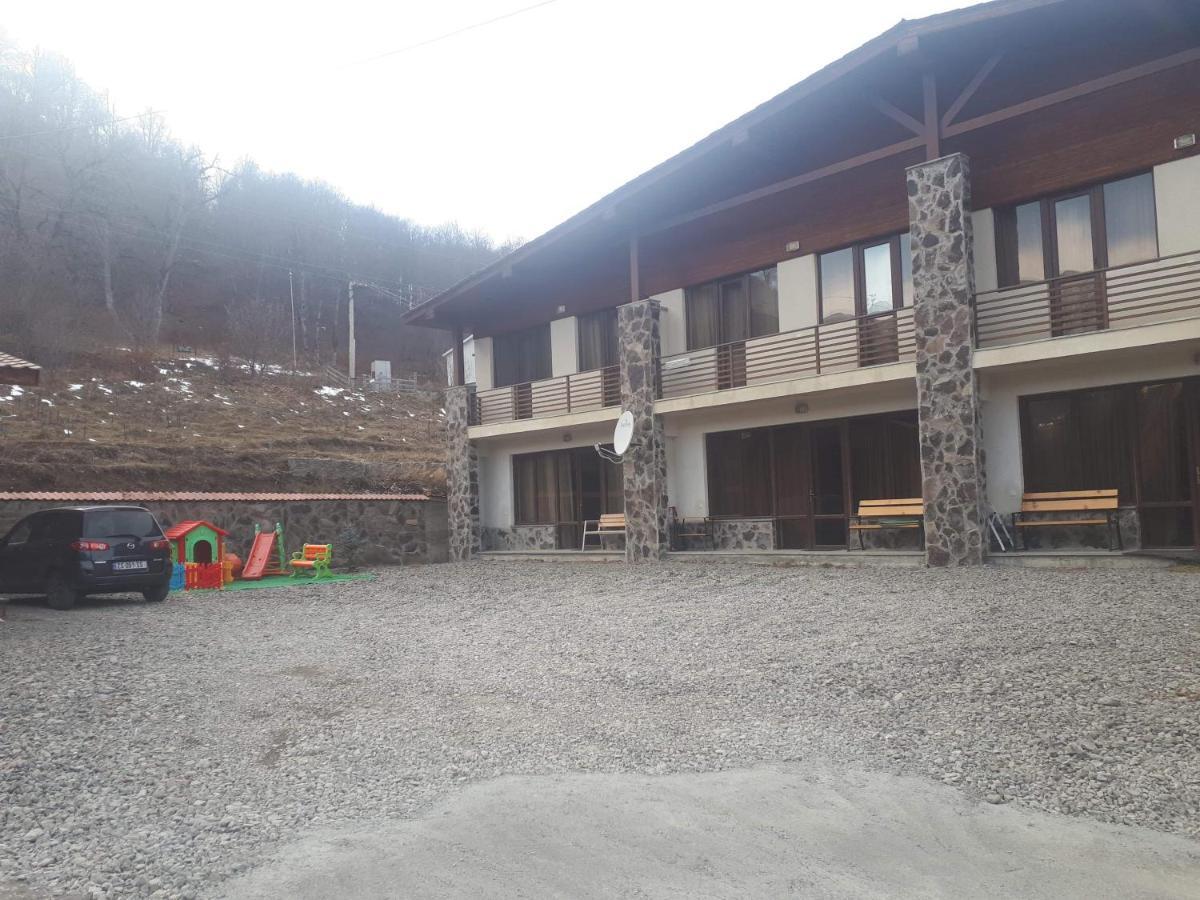 Konstantine'S Chalet Бакуриани Экстерьер фото